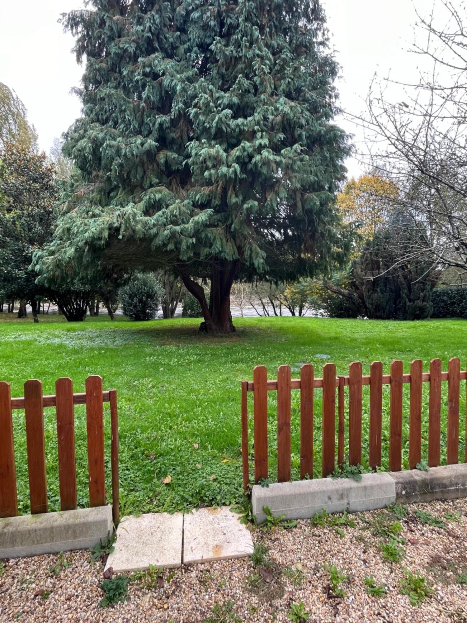 Logement Paisible En Bord De Vienne Bonneuil-Matours Екстер'єр фото